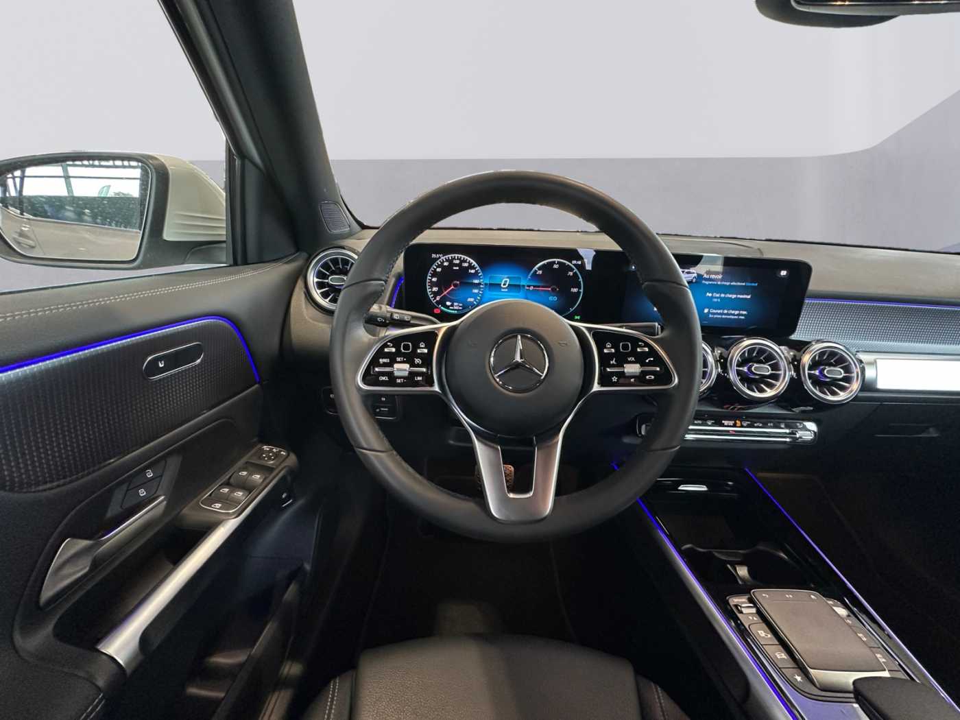 xxl_kfz113122053_w1n9m0bb8rn072731_11_steering-wheel-driver.jpg