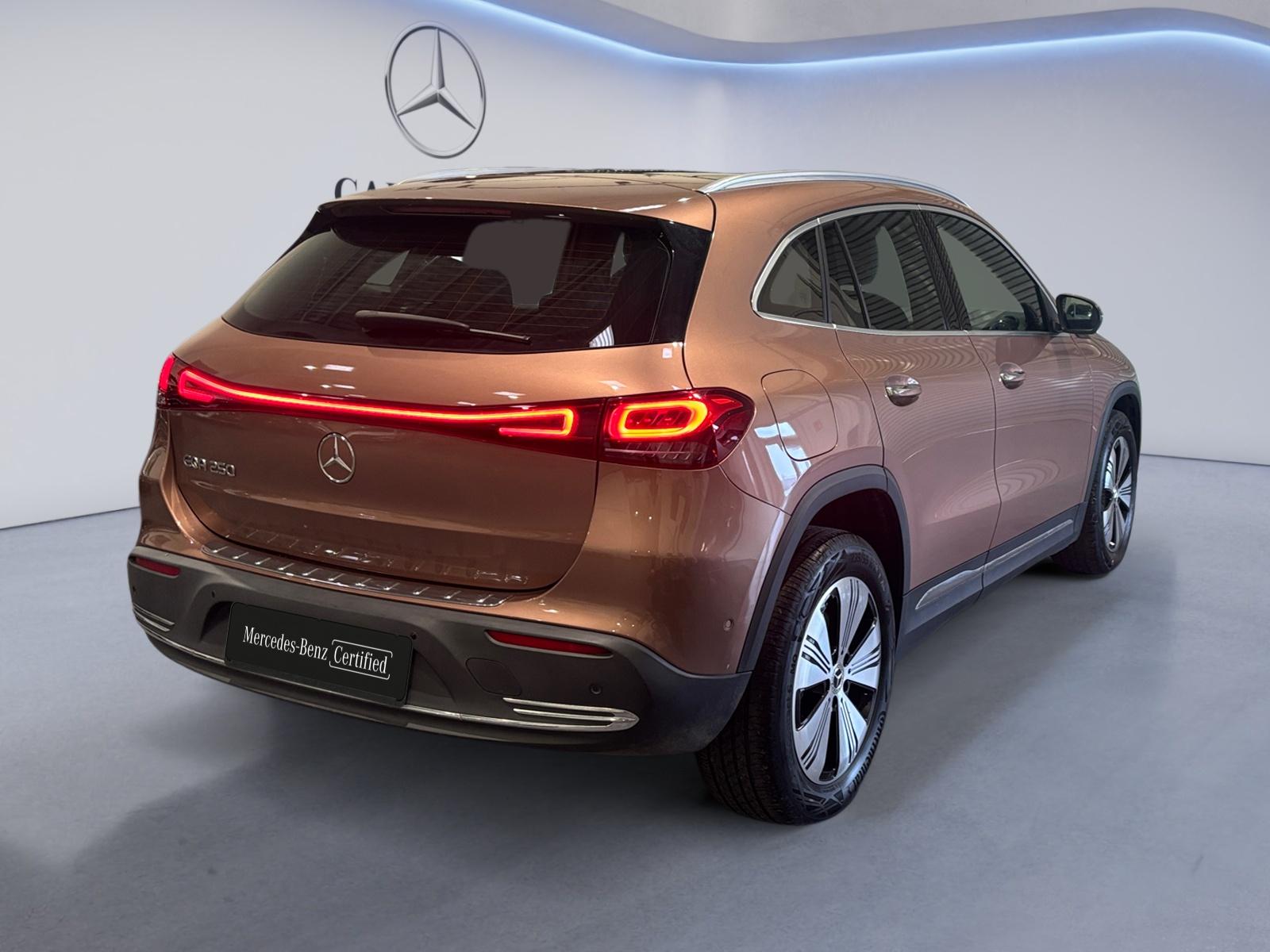 certified-alleur-mercedes-benz-eqa-250-luxury-line-w1n2437011j021372-5-20260512091632.jpg